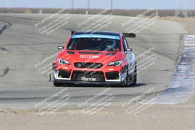 media/Nov-09-2024-GTA Finals Buttonwillow (Sat) [[c24c1461bf]]/Group 4/Session 3 (Outside Grapevine)/